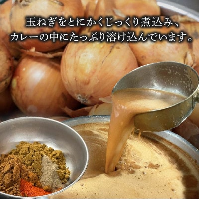 【中辛】 クラブハウスのThe Curry 15袋セット