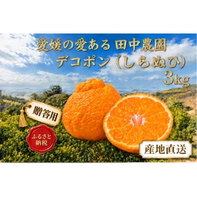 【2月下旬から順次発送】【ご贈答用】不知火 しらぬい 約3kg