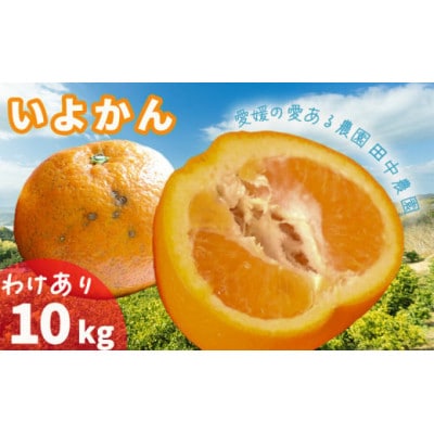 【1月中旬から順次発送】 【訳あり】 伊予柑 いよかん 約10kg