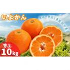 【1月中旬から順次発送】【秀品】 伊予柑 いよかん 約10kg