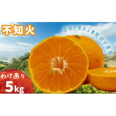 【2月下旬から順次発送】【訳あり】不知火 しらぬい 約5kg