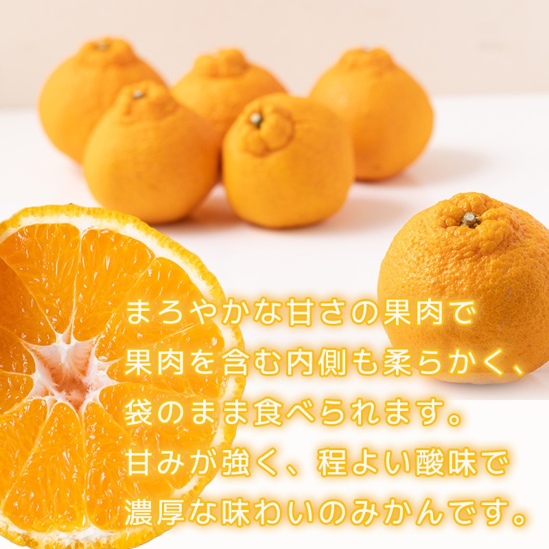【2月下旬から順次発送】【訳あり】不知火 しらぬい 約5kg