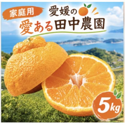 【2月下旬から順次発送】【家庭用】不知火 しらぬい 約5kg