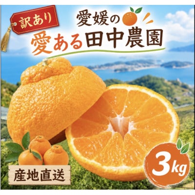 【訳あり】不知火 しらぬい 約3kg【2月下旬から順次発送】