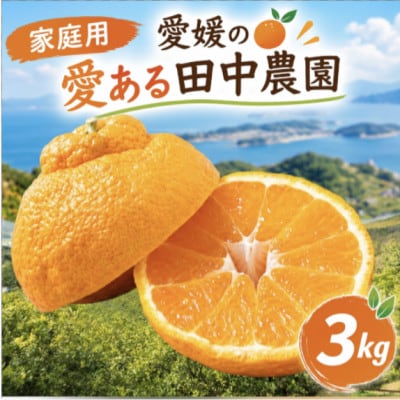 【家庭用】不知火 しらぬい 約3kg【2月下旬から順次発送】