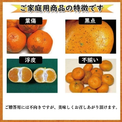 訳あり カラマンダリン 春みかん 2S-3L 約5kg