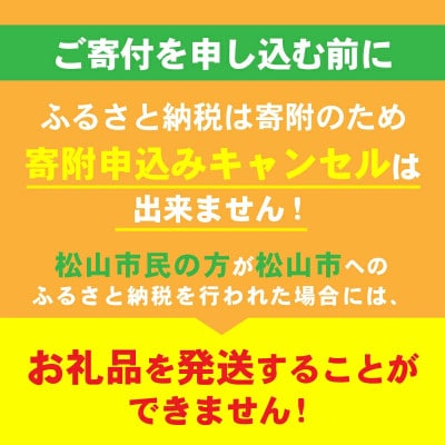 訳あり カラマンダリン 春みかん 2S-3L 約5kg