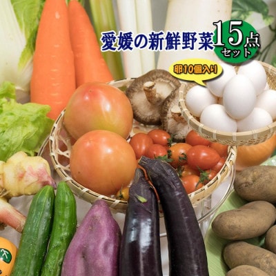 野菜セット 15品 ( みかんたまご 10個入り )