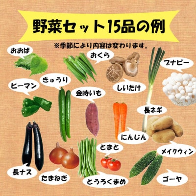 野菜セット 15品 ( みかんたまご 10個入り )
