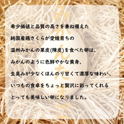 野菜セット 15品 ( みかんたまご 10個入り )