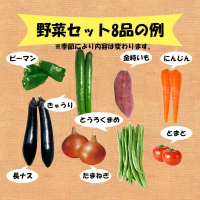 野菜セット8品 ( みかんたまご 10個入り )