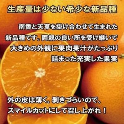 愛果28号 約2kg 訳あり 家庭用