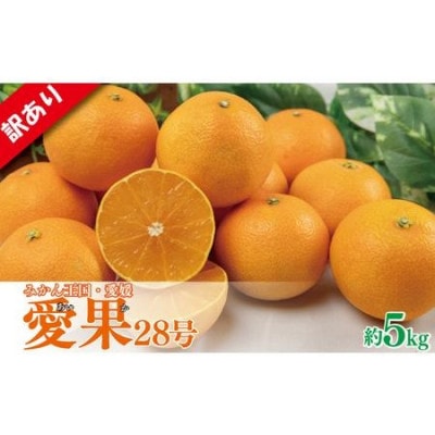 愛果28号 訳あり 家庭用 約5Kg