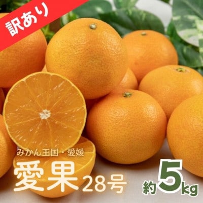 愛果28号 訳あり 家庭用 約5Kg