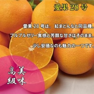 愛果28号 訳あり 家庭用 約5Kg