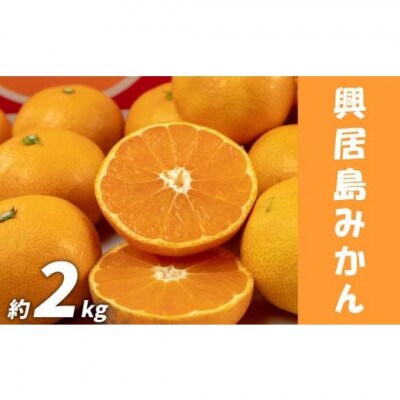 愛媛県産 興居島みかん 2S～2Lいずれかのサイズ 家庭用 約2kg