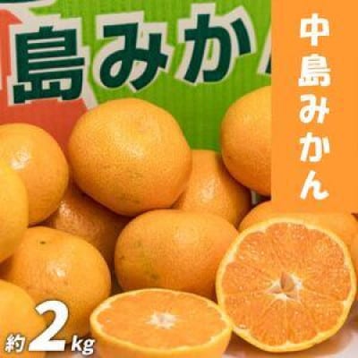 愛媛県産 中島みかん 2S～2L 家庭用 約2kg