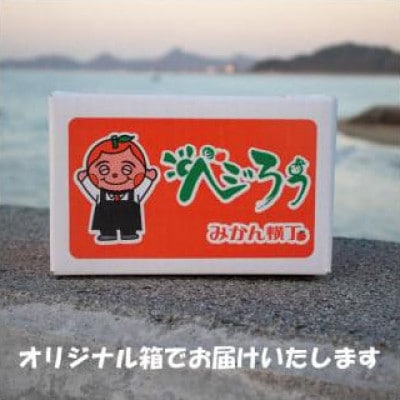 愛媛県産 中島みかん 2S～2L 家庭用 約2kg