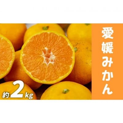 愛媛みかん 約2kg (訳あり)