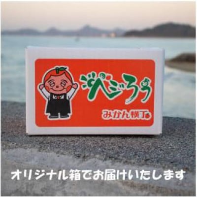 愛媛みかん 約2kg (訳あり)