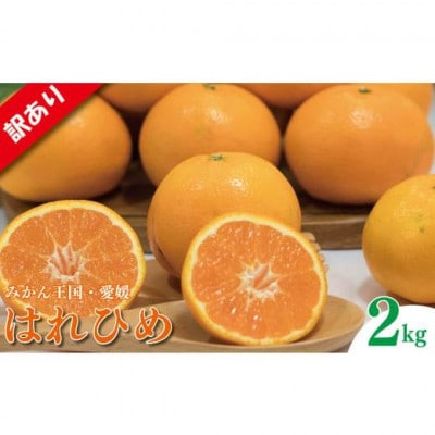 はれひめ S～3L玉 約2kg (訳あり)愛媛県 松山市