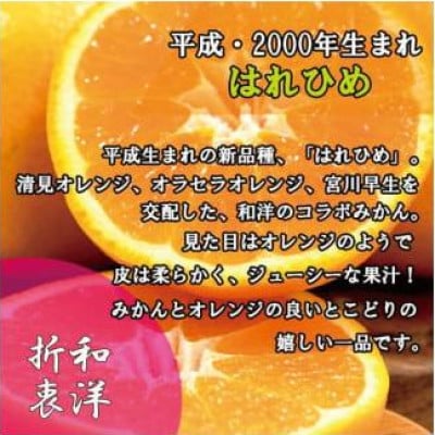 はれひめ S～3L玉 約2kg (訳あり)愛媛県 松山市