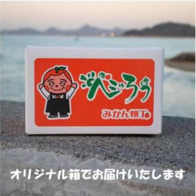 はれひめ S～3L玉 約2kg (訳あり)愛媛県 松山市