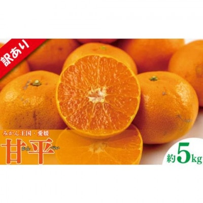 愛媛県松山市 甘平(かんぺい) 約5kg(訳あり)