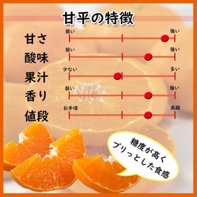 愛媛県松山市 甘平(かんぺい) 約5kg(訳あり)