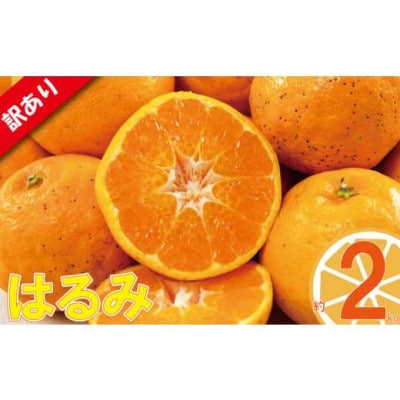 愛媛県松山市 訳あり はるみ 約2kg