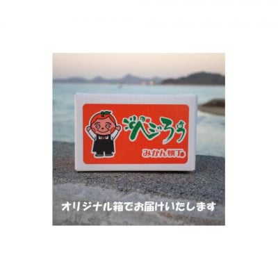 愛媛県松山市 訳あり はるみ 約2kg