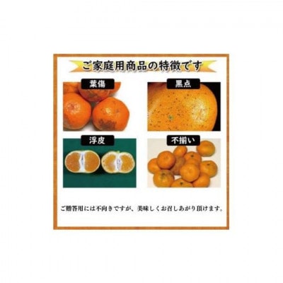 愛媛県松山市 訳あり はるみ 約2kg