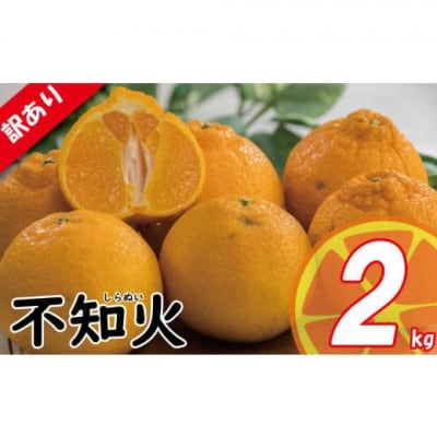 愛媛県松山市産不知火(しらぬい)約2kg 【訳あり】