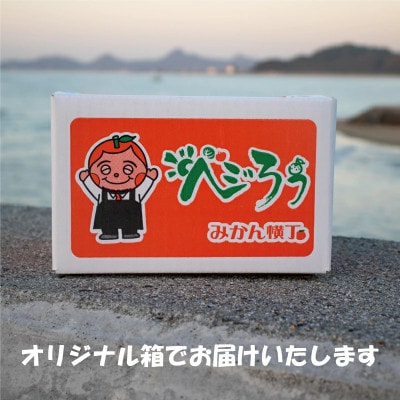愛媛県松山市産不知火(しらぬい)約2kg 【訳あり】
