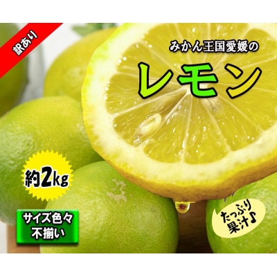 レモン サイズ不揃い 約2kg【訳あり】