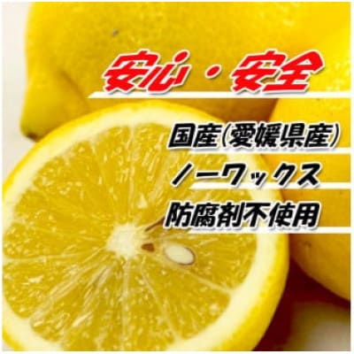 レモン サイズ不揃い 約2kg【訳あり】