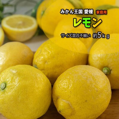 レモン サイズ不揃い 約5kg【訳あり】