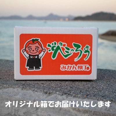 種なしピオーネぶどう 約1kg 伊台五明こうげんぶどう