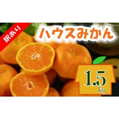 ハウスみかん 約1.5kg【訳あり】
