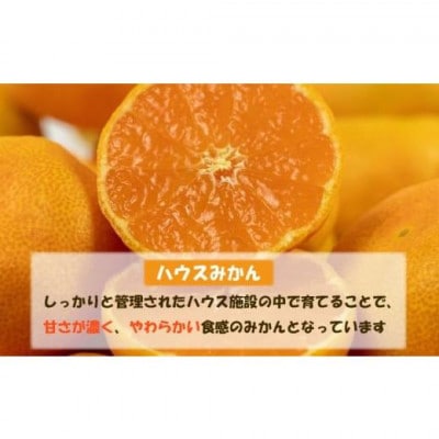 ハウスみかん 約1.5kg【訳あり】