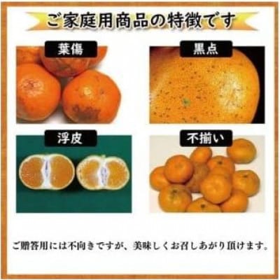 ハウスみかん 約1.5kg【訳あり】