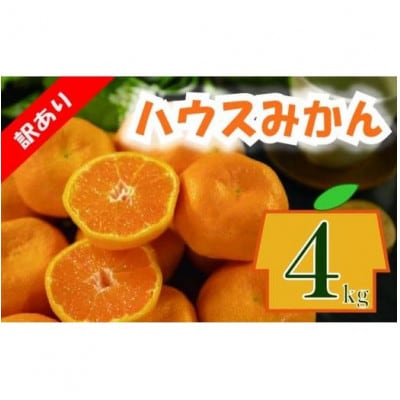 ハウスみかん 約4kg【訳あり】