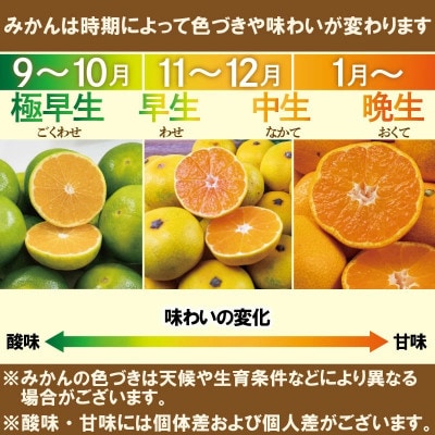 【訳あり】 愛媛みかん約1Kg