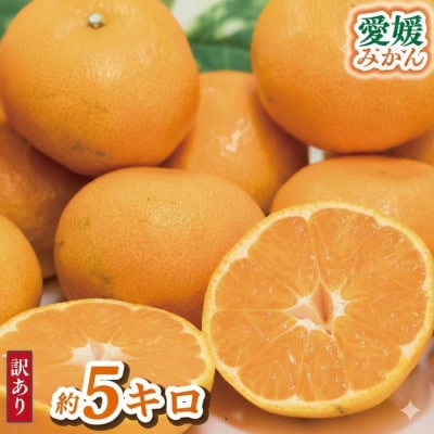 【訳あり】 愛媛みかん約5Kg
