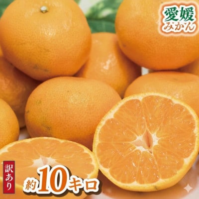 【訳あり】 愛媛みかん約10Kg