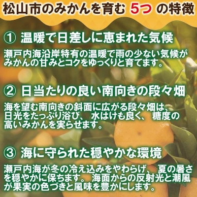 【訳あり】 愛媛みかん約10Kg