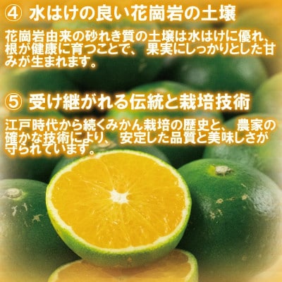 【訳あり】 愛媛みかん約10Kg