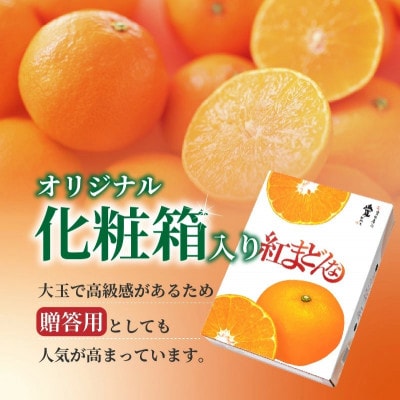 紅まどんな 化粧箱 〇等級 L15玉～5L7玉