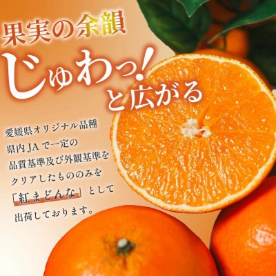 紅まどんな 化粧箱 〇等級 L15玉～5L7玉