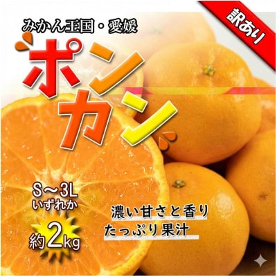 ポンカン訳あり約2Kg